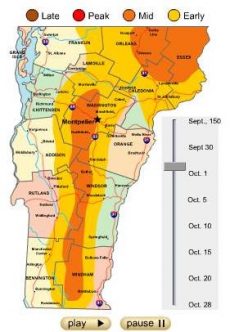 Please come join us for Vermont's brilliant fall foliage season...there's plenty to see, do, eat, drink and enjoy in our little corner of picturesque fall paradise! Click the image above to access the interactive foliage tracker (requires Flash so will not work on iPads, iPhones)