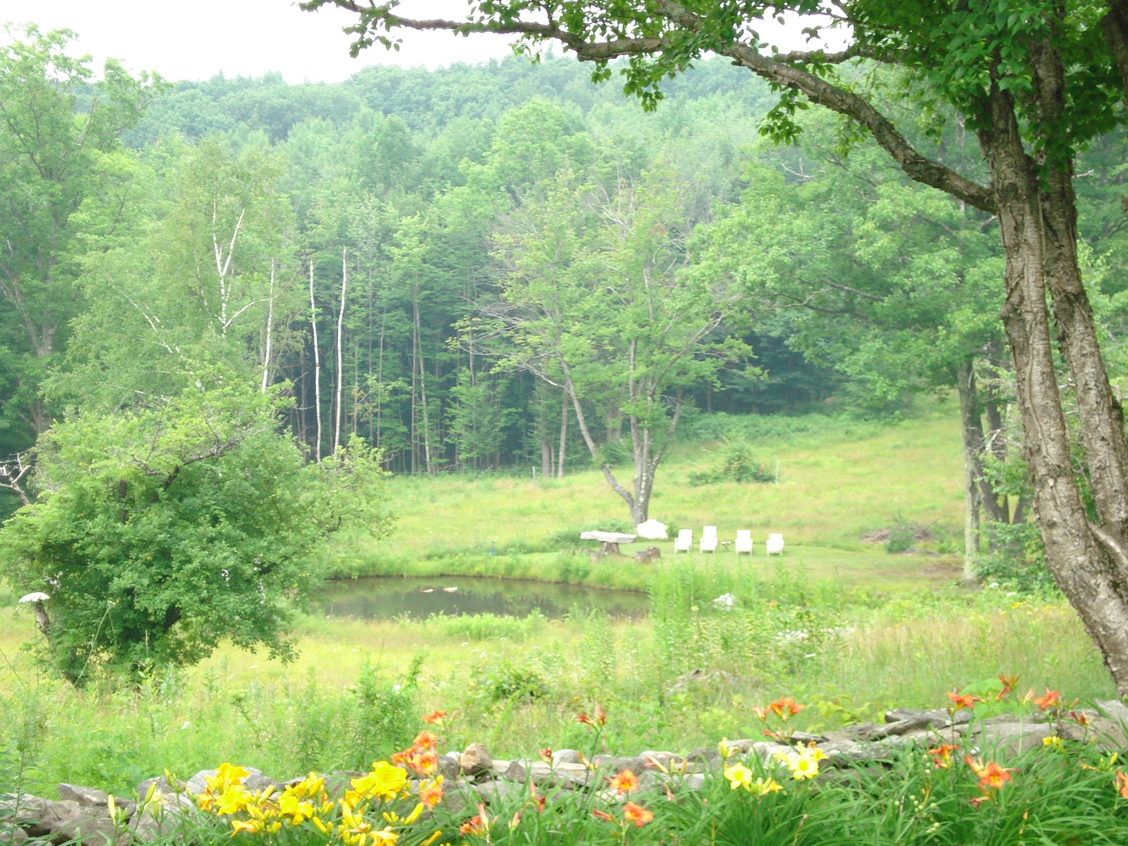 Springtime at Frog Meadow | Vermont Gay Male Rock River B 