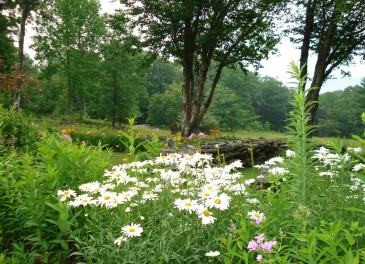 Springtime at Frog Meadow | Vermont Gay Male Rock River B 