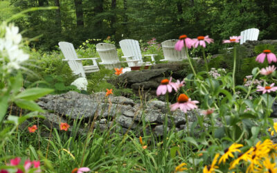 Gardens, Orchard & Wildlife