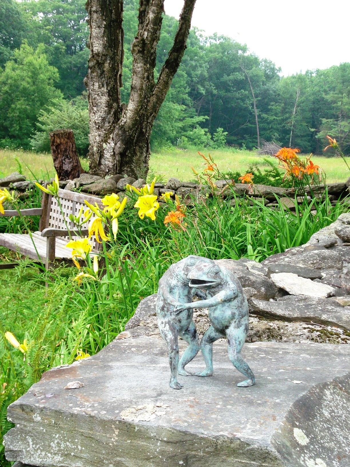 Springtime at Frog Meadow | Frog Meadow
