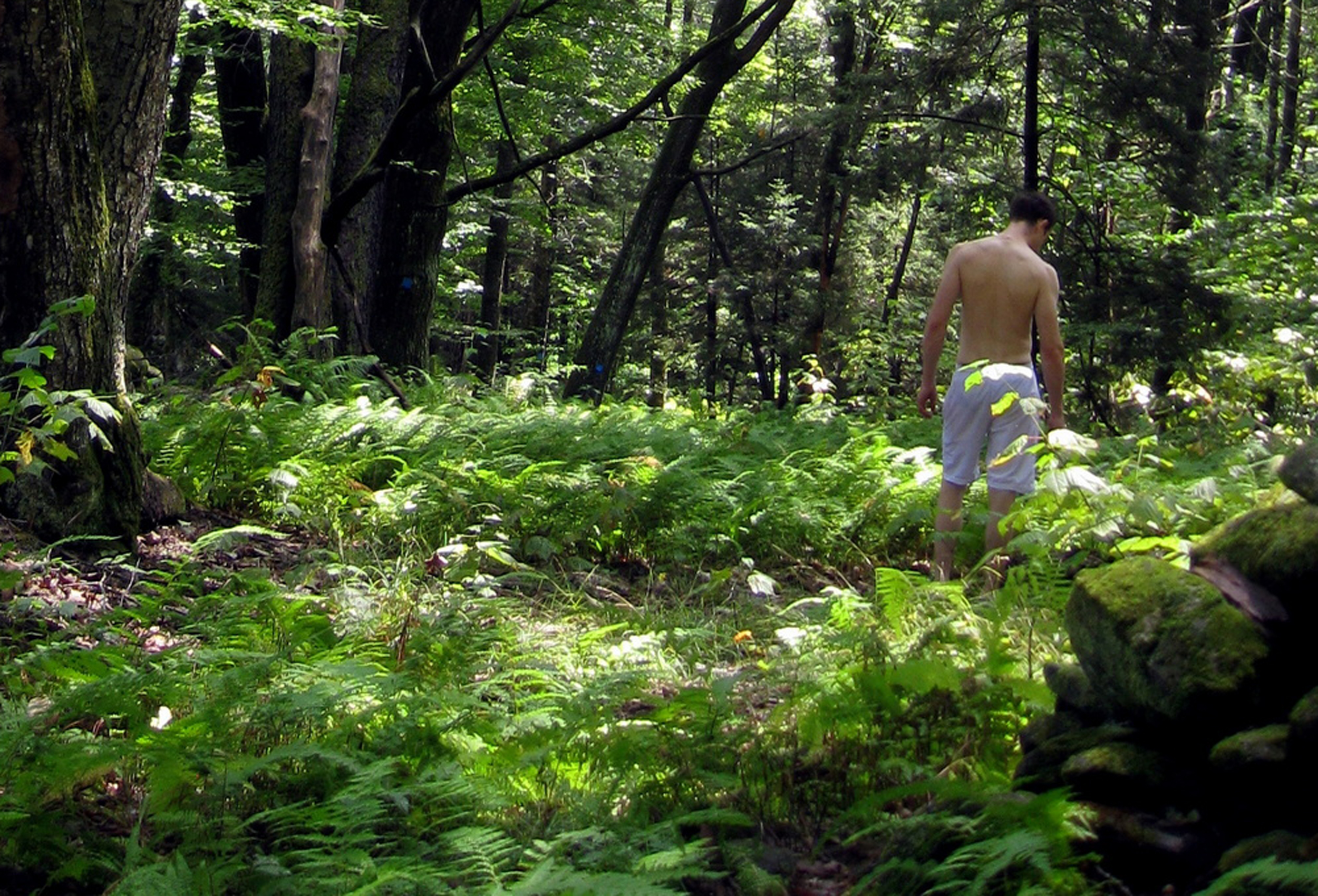 A man walking on a nature trail. 